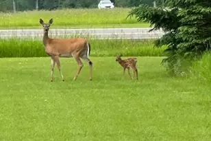 2495 Co Rd 5, Carlton, MN 55718 - Photo 57