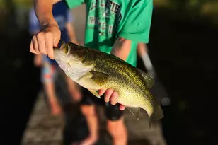 36365 654th Ave, Watkins, MN 55389 - Photo 13