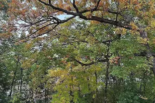 7783 Kingsview Ln N, Maple Grove, MN 55311 - Photo 29