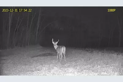 24793 Franklin Lake Road, Pelican Rapids, MN 56572 - Photo 59