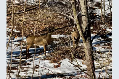 1012 Sunrise Road, Saint Croix Falls, WI 54024 - Photo 27