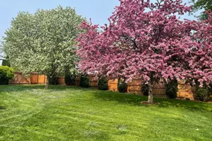 10453 61st St NE, Albertville, MN 55301 - Photo 29