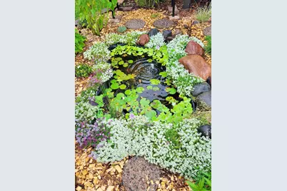 22870 Quay Street NW, Saint Francis, MN 55070 - Photo 47