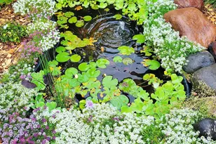 22870 Quay St NW, Saint Francis, MN 55070 - Photo 47