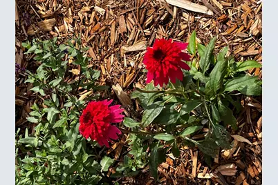 1922 Sandstone Loop S, Sartell, MN 56377 - Photo 41