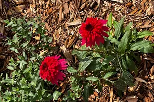 1922 Sandstone Loop S, Sartell, MN 56377 - Photo 41