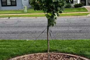 1922 Sandstone Loop S, Sartell, MN 56377 - Photo 43