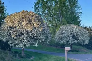 494 192nd Ave, Somerset, WI 54025 - Photo 27