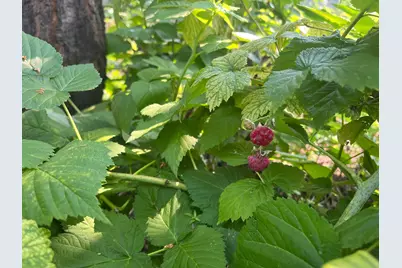 3011 17th Avenue S, Minneapolis, MN 55407 - Photo 43