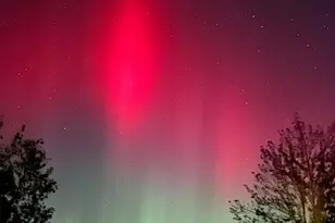 19512 2 Rivers Rd, Avon, MN 56310 - Photo 45