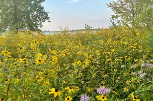 19512 2 Rivers Rd, Avon, MN 56310 - Photo 41