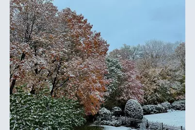 16506 78th Avenue N, Maple Grove, MN 55311 - Photo 15