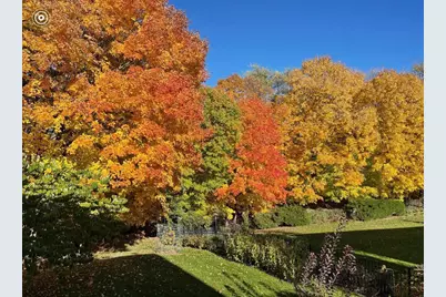 16506 78th Avenue N, Maple Grove, MN 55311 - Photo 11