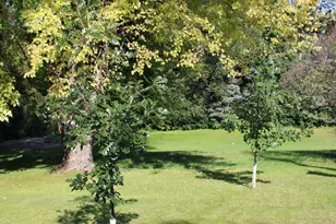 20762 468th Ave, Morris, MN 56267 - Photo 21