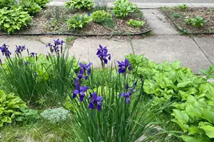 1369 Hamline Ave N, Saint Paul, MN 55108 - Photo 63