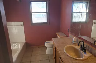 15 Birch Ave, Bird Island, MN 55310 - Photo 9