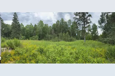 36719 State Highway 65, Nashwauk, MN 55769 - Photo 5