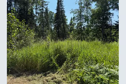 36719 State Highway 65, Nashwauk, MN 55769 - Photo 21