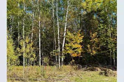 36719 State Highway 65, Nashwauk, MN 55769 - Photo 11