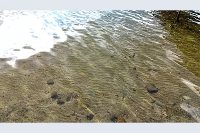 7731 Lake John Drive, Annandale, MN 55302 - Photo 7