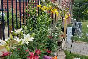 28870 E Yellow River Rd, Danbury, WI 54830 - Photo 3