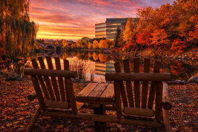 6324 Mildred Avenue, Edina, MN 55439 - Photo 11