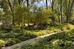4442 Cedar Lk Rd S, Saint Louis Park, MN 55416 - Photo 15