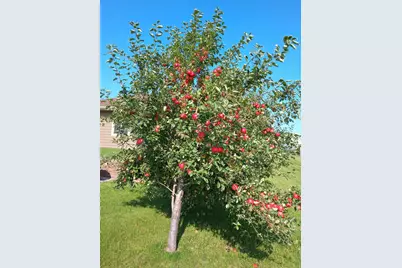 20733 E Dane Prairie Road, Fergus Falls, MN 56537 - Photo 47