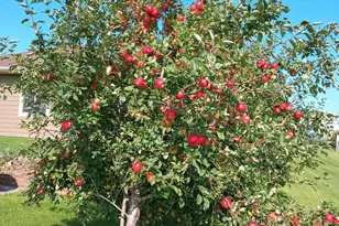 20733 E Dane Prairie Rd, Fergus Falls, MN 56537 - Photo 47