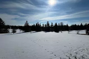 2257 Long Lake Rd, Detroit Lakes, MN 56501 - Photo 23