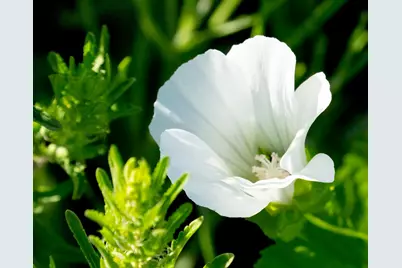 1969 Shakopee Avenue E, Shakopee, MN 55379 - Photo 25