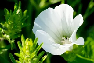 1969 Shakopee Ave E, Shakopee, MN 55379 - Photo 25