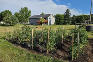 1207 Greenfield Ave, Fergus Falls, MN 56537 - Photo 45