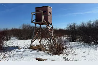 Tbd 635th Avenue, Sebeka, MN 56477 - Photo 13