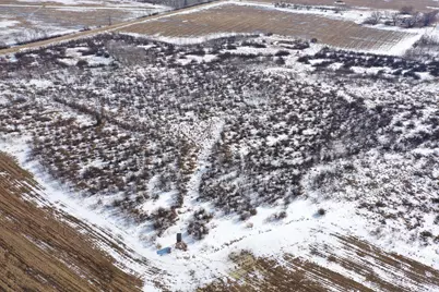 Tbd 635th Avenue, Sebeka, MN 56477 - Photo 3