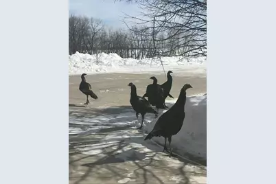 28983 320th Avenue Way, Red Wing, MN 55066 - Photo 135