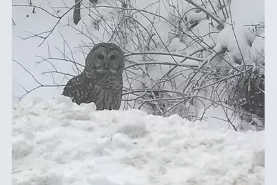 28983 320th Avenue Way, Red Wing, MN 55066 - Photo 131