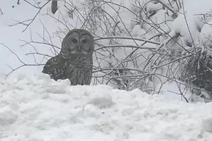 28983 320th Ave Way, Red Wing, MN 55066 - Photo 131