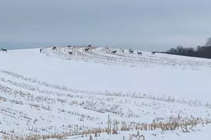 28983 320th Ave Way, Red Wing, MN 55066 - Photo 133