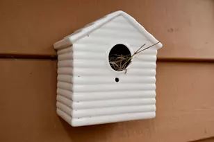 3245 Evergreen Dr, Eagan, MN 55121 - Photo 9