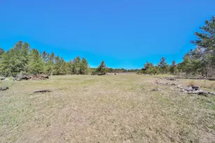 27125 132nd St, Staples, MN 56479 - Photo 57