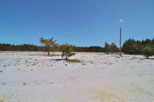 27125 132nd St, Staples, MN 56479 - Photo 53