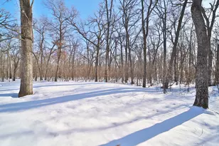 27477 Ode Cir, Browerville, MN 56438 - Photo 33