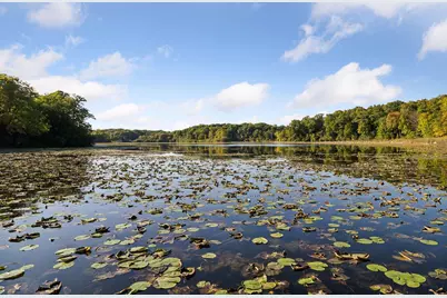6620 S Saunders Lake Drive, Minnetrista, MN 55364 - Photo 73