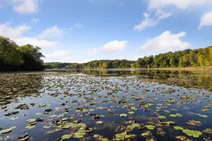 6620 S Saunders Lake Dr, Minnetrista, MN 55364 - Photo 73