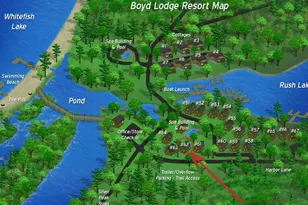 11515 Camelia, Crosslake, MN 56442 - Photo 17