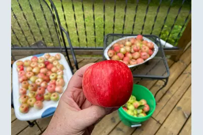 51070 Lake Six Road, Frazee, MN 56544 - Photo 43