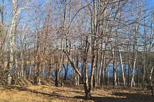 51070 Lake Six Rd, Frazee, MN 56544 - Photo 39