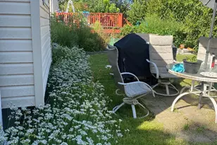 3824 Vera Cruz Ave N, Robbinsdale, MN 55422 - Photo 17