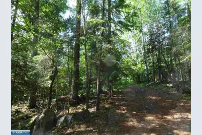 9245 Burris Drive, Cook, MN 55723 - Photo 23